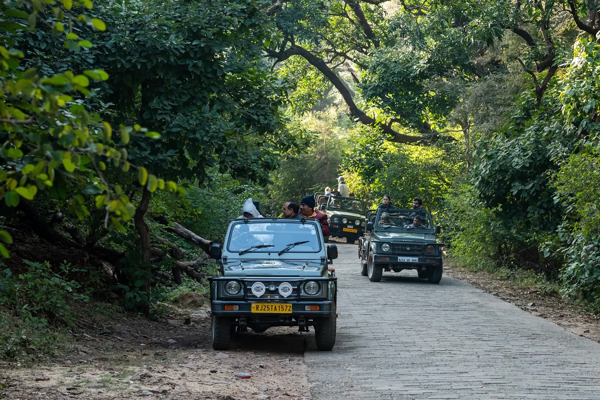 Safari en el Parque Nacional de Ranthambore