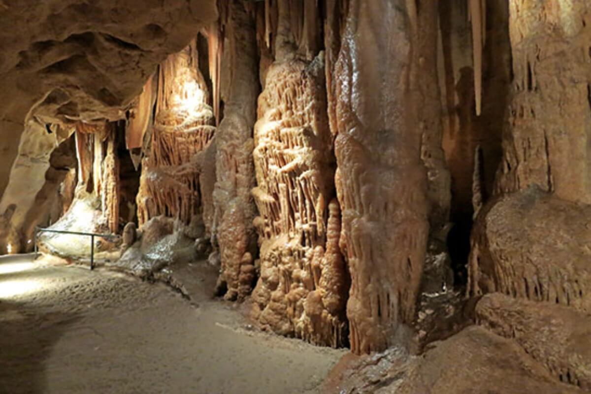 Andaman y Nicobar Isla Baratang Manglares y Cuevas de Piedra Caliza