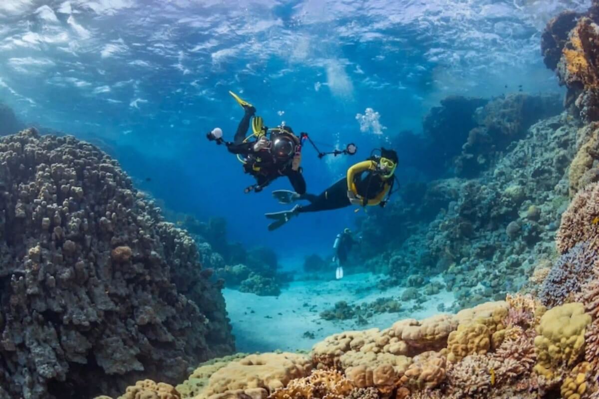 Andaman y Nicobar Isla North Bay  El Mundo Submarino Espera