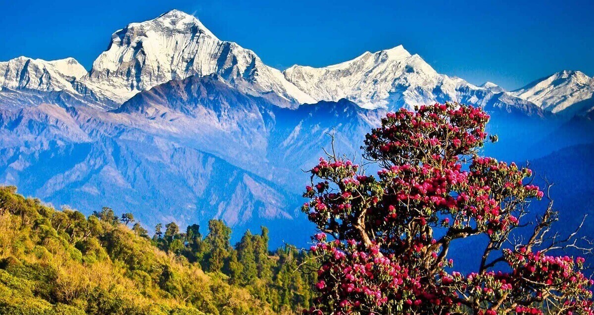 Mirador de la Cordillera del Himalaya