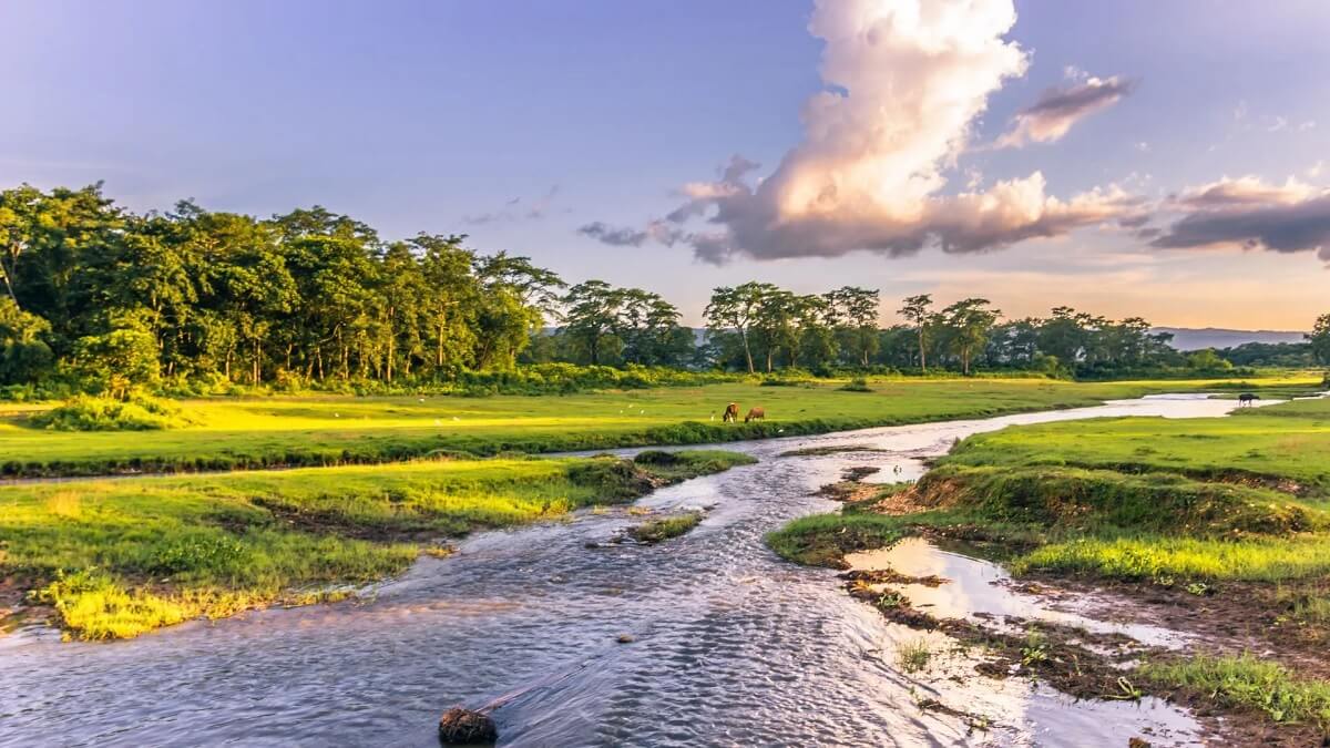 Bandipur: Belleza Tradicional