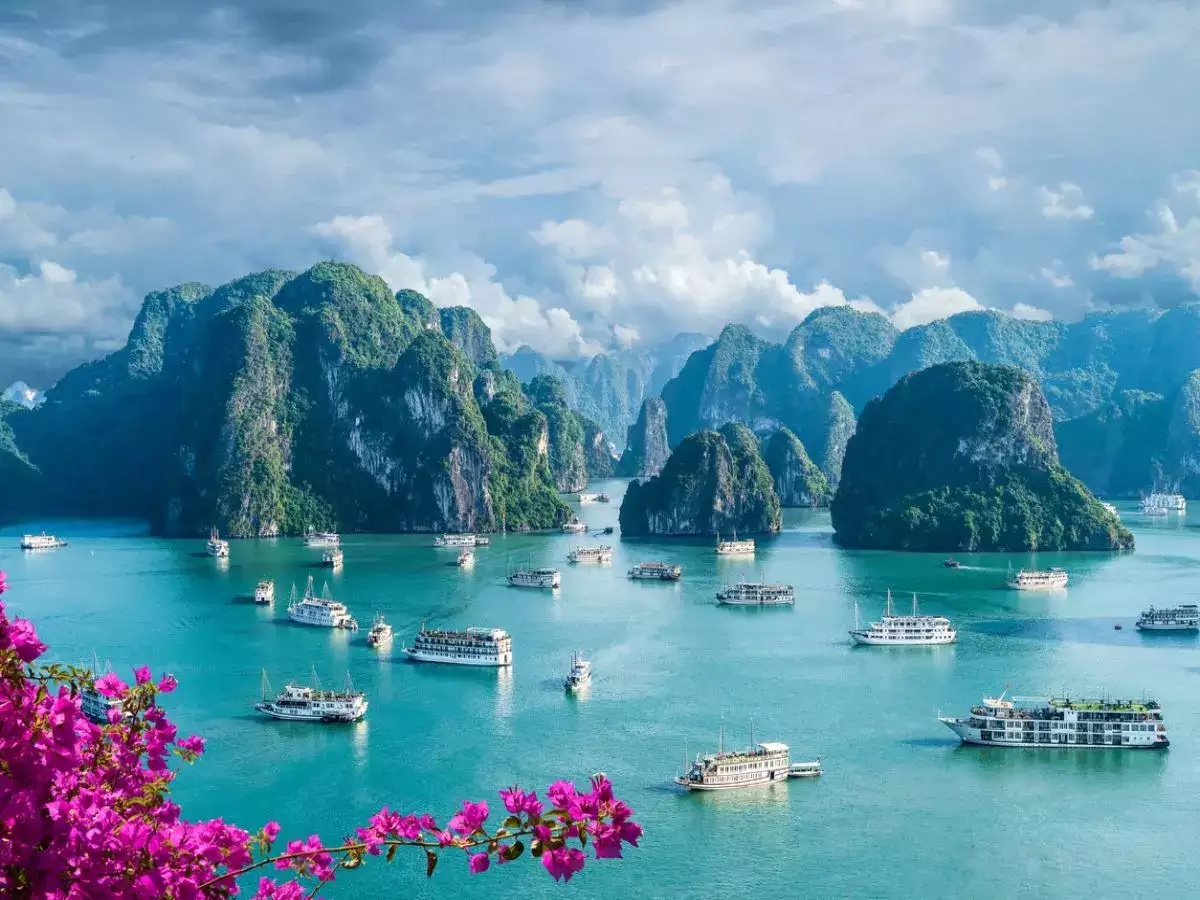 Bahía de Ha Long – Belleza Natural Asombrosa