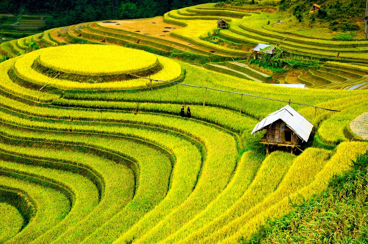 Sapa – La Tierra de los Campos de Arroz en Terrazas