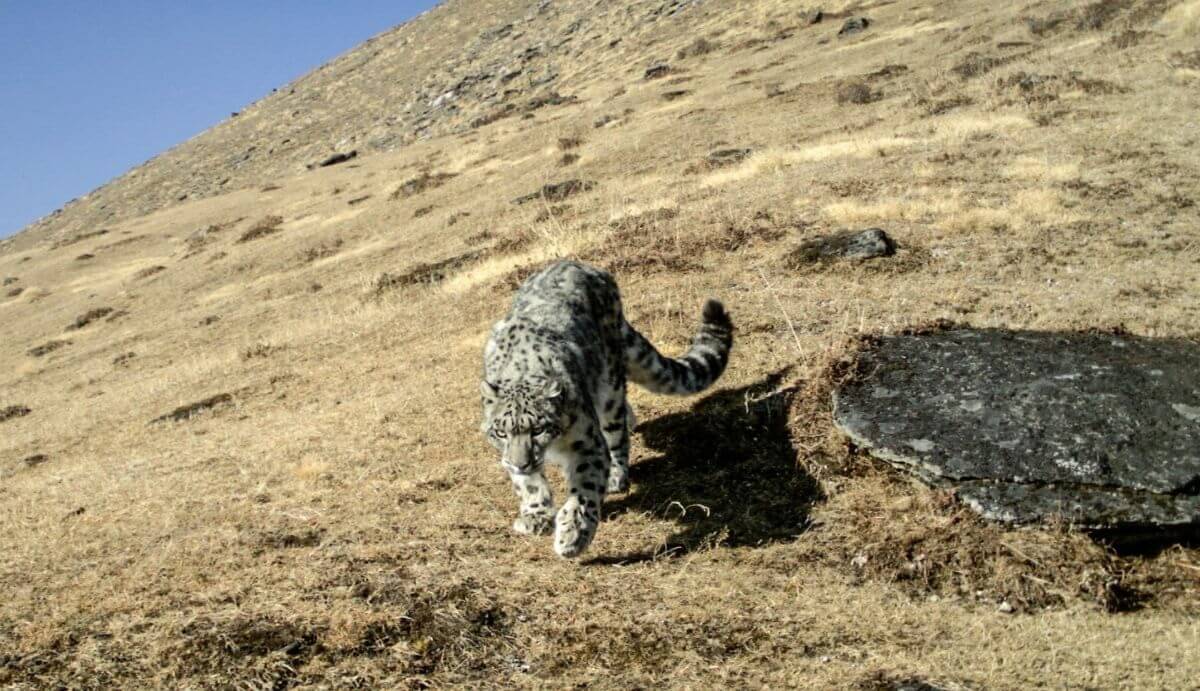  Bután-Parque Nacional de Jigme Dorji