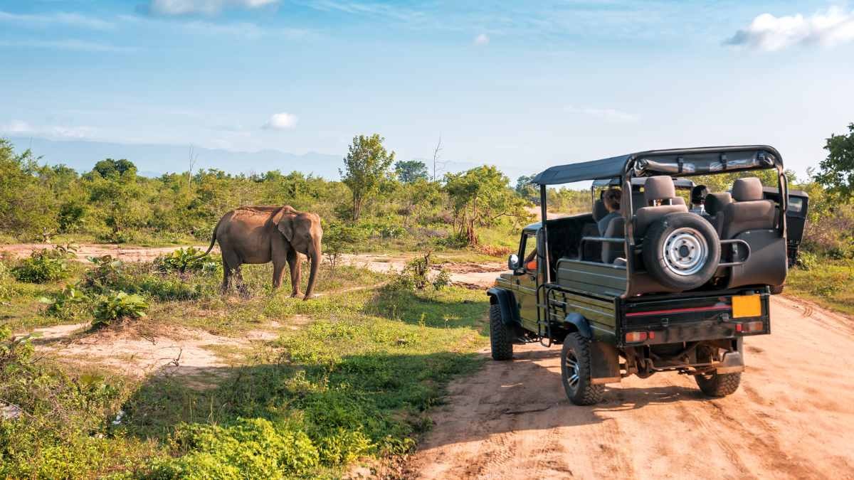 Cauvery Wildlife Sanctuary (Karnataka)