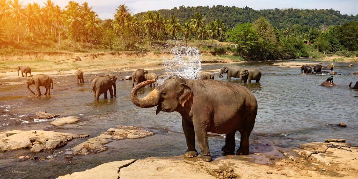 Kabini, Karnataka