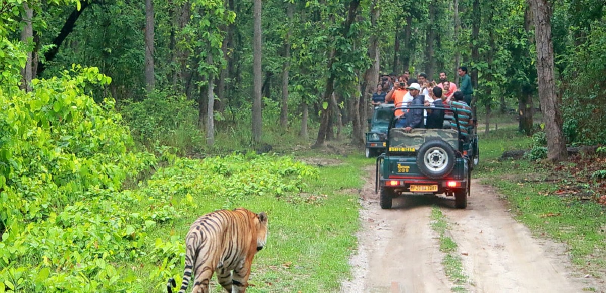 Santuario de Vida Silvestre de Bandipur (Karnataka)