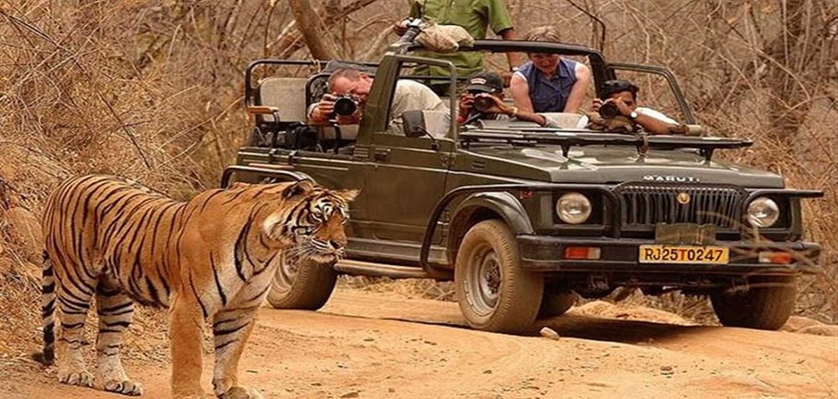 Ranthambore Rajasthan