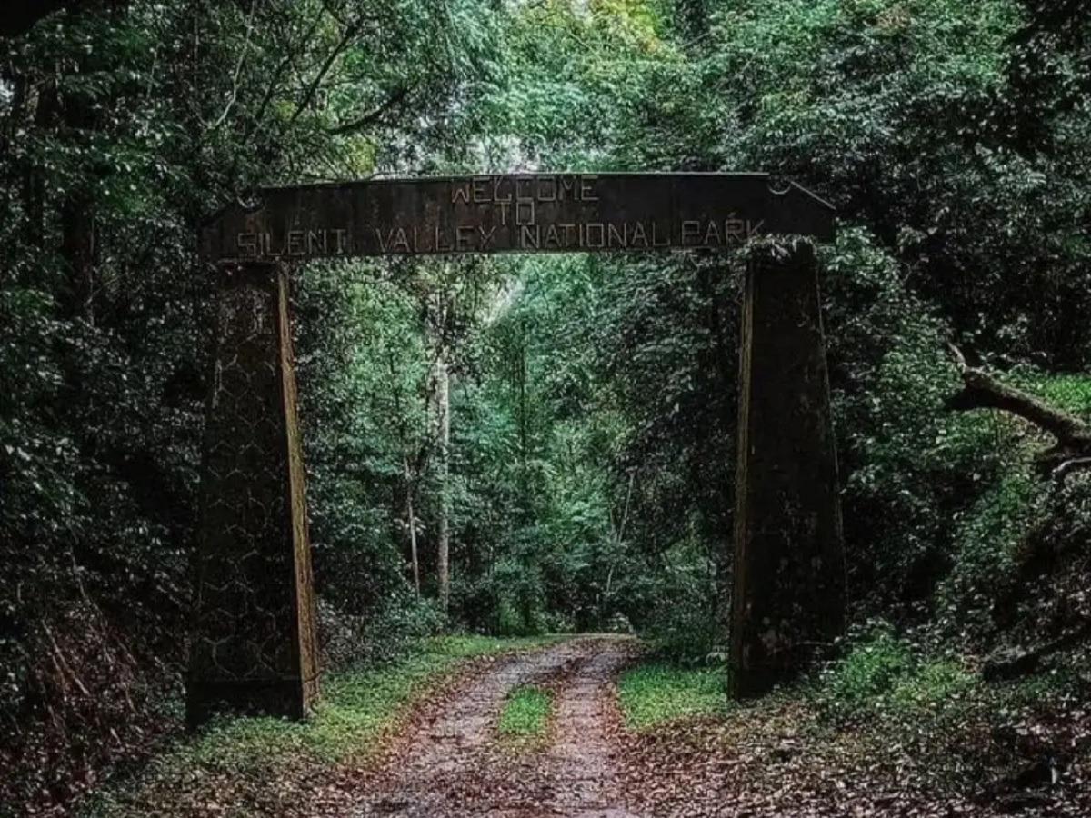 Parque Nacional de Silent Valley (Kerala)