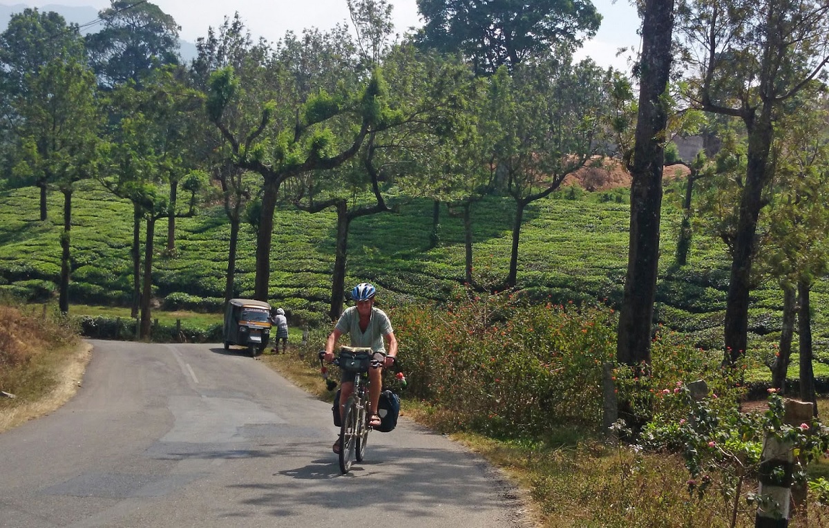 Munnar a Ooty – Plantaciones de Té y Bosques del Sur