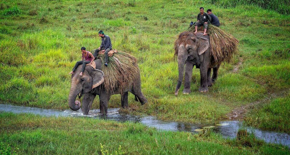 Chitwan - Aventura en la selva