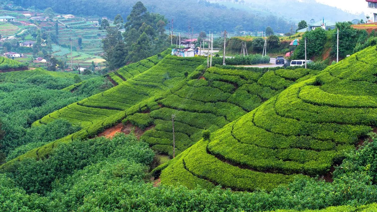 Nuwara Eliya Estaciones de montaña en Sri Lanka