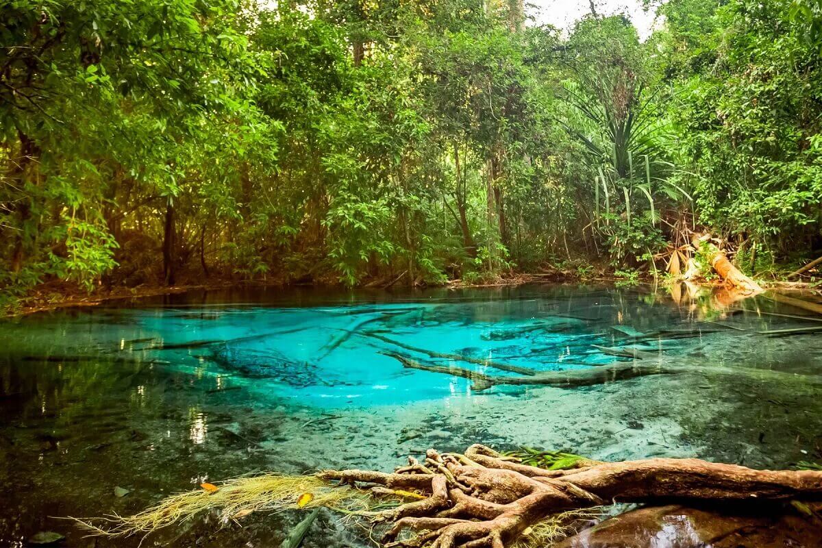 Krabi: El Paraíso del Aventurero