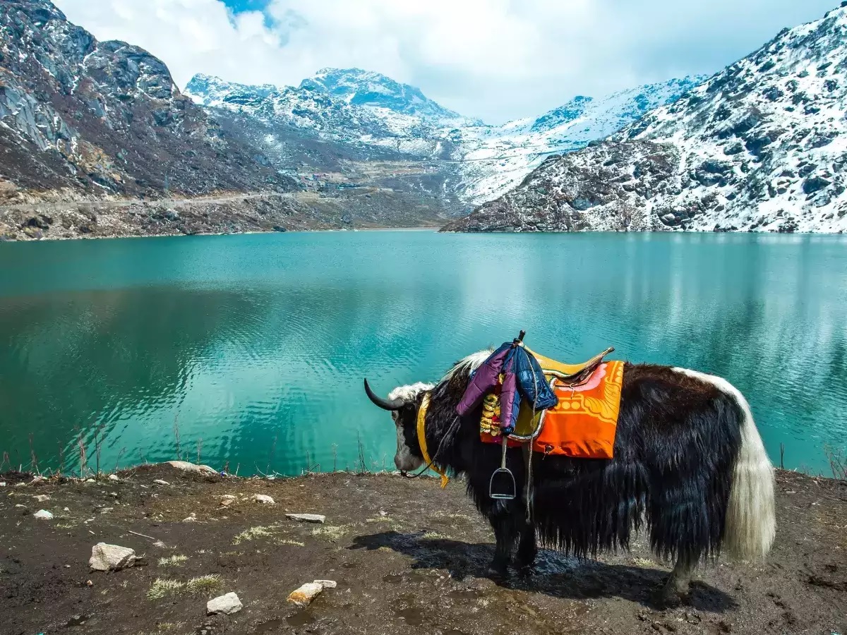 Tsomgo Lake Sikkim