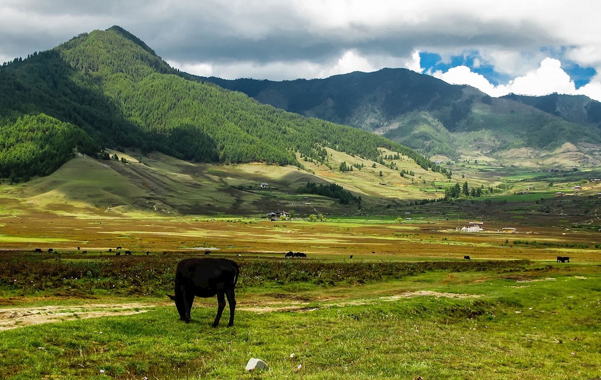 Valle de Phobjikha