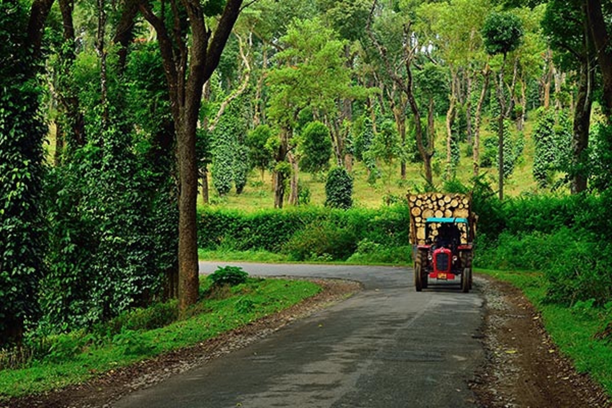 Coorg: Escapada a la Naturaleza