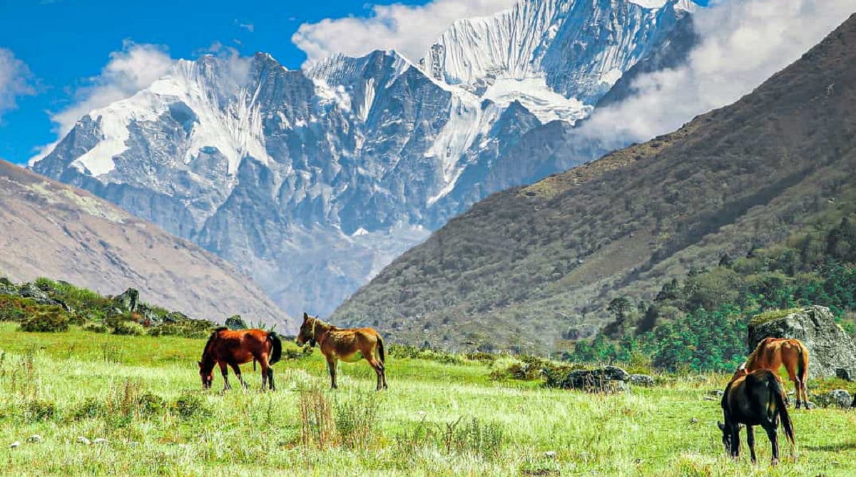 Parque Nacional de Langtang