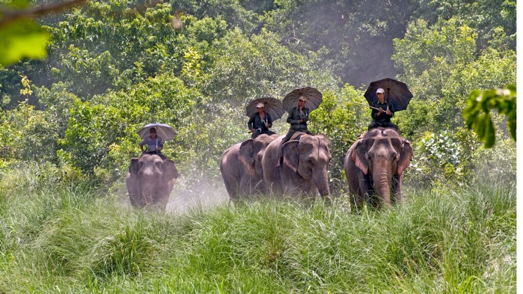 Parque Nacional de Nepal