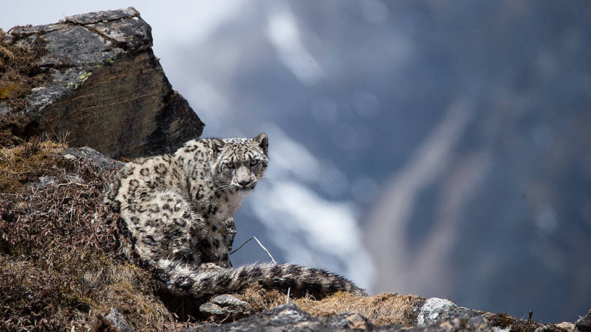 Shey Phoksundo National Park en Nepal