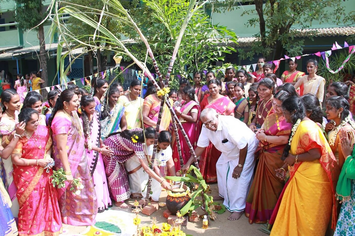 Celebración del Pongal: 