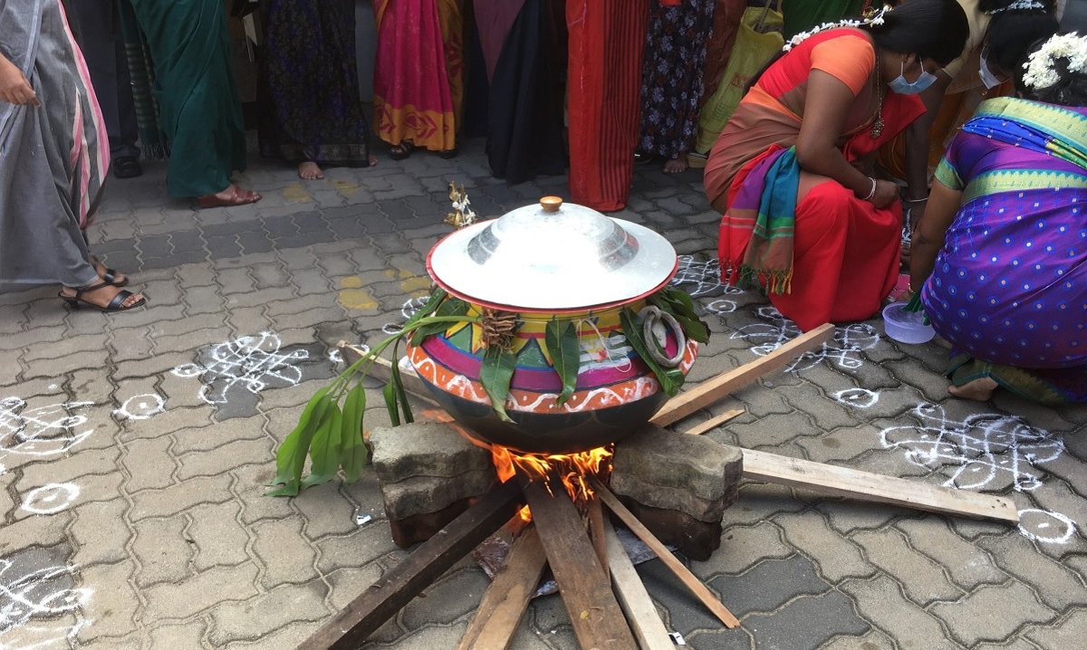 Rituales del Pongal: 