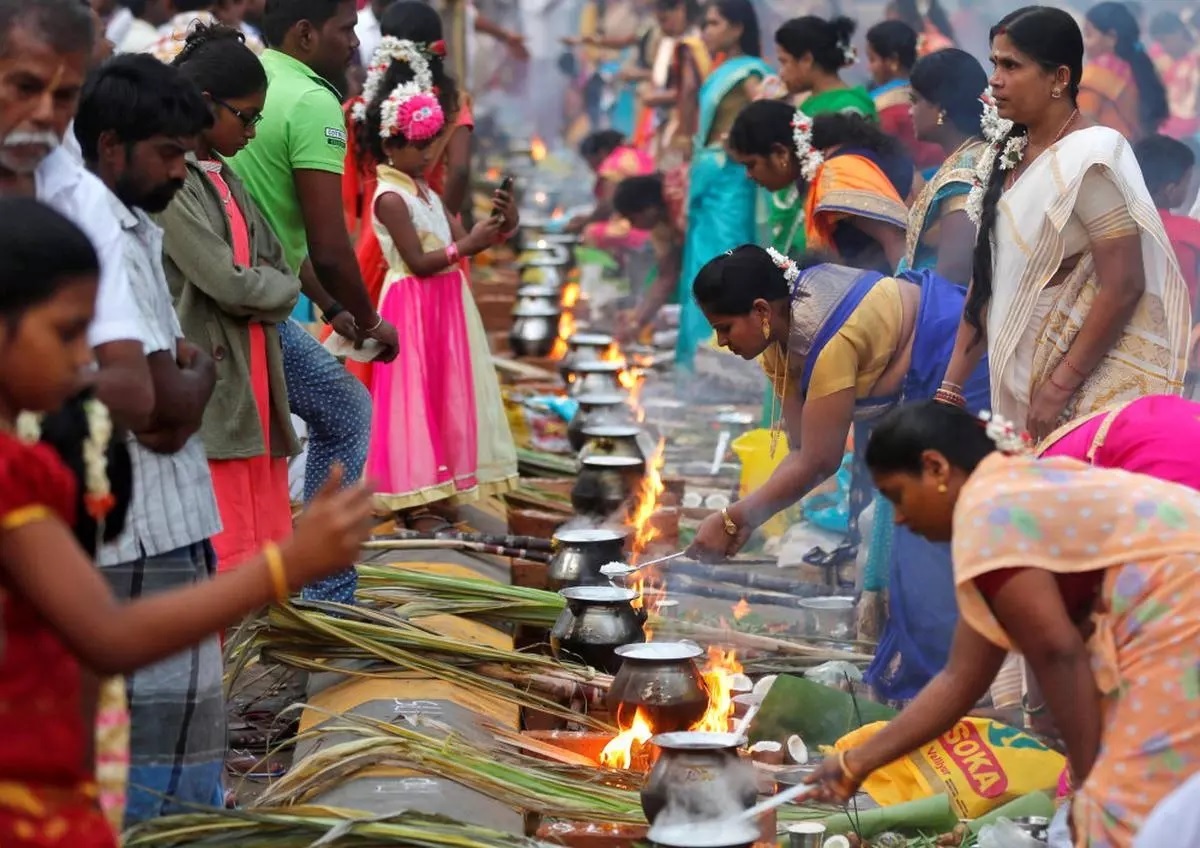 Fecha del Festival de Pongal 2024: 