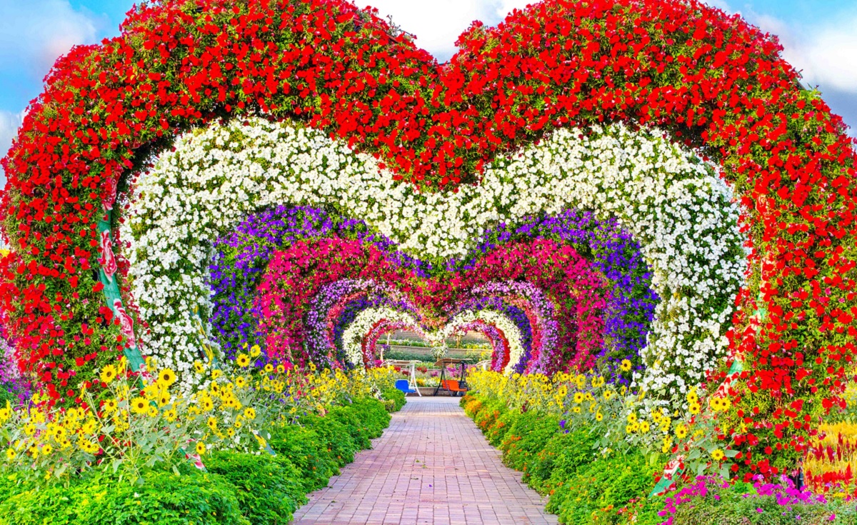 Miracle Garden