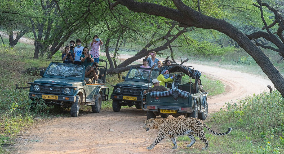 ¿Cómo Llegar Safari de leopardos Jhalana en Jaipur