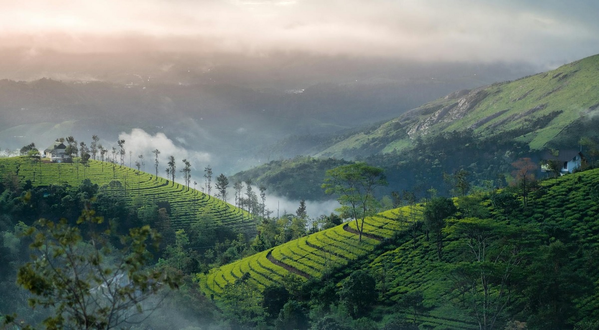 Palakkad – La puerta de entrada a las montañas de Ghats Occidentales