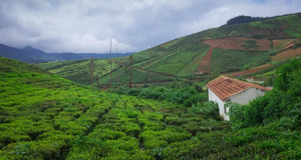 Clima de Karnataka en marzo